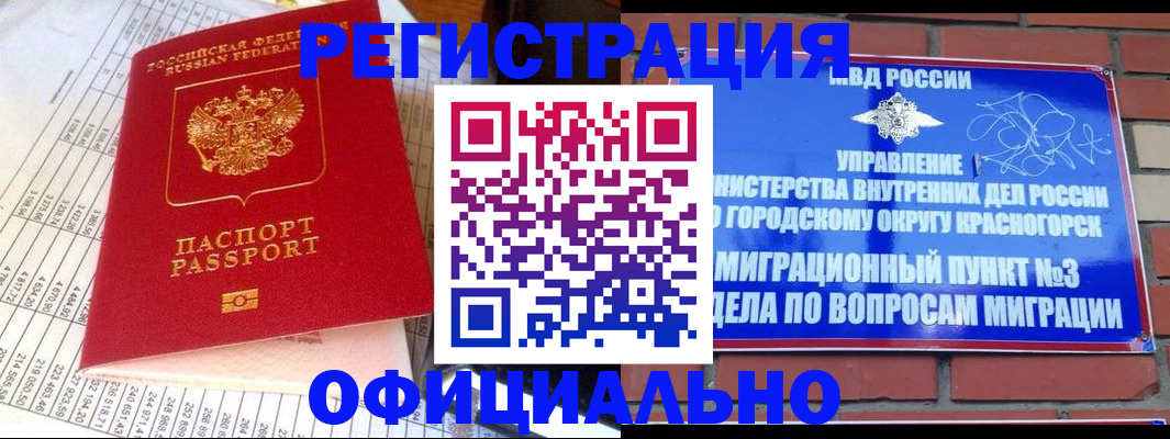 прописка поиск в Зеленогорске
